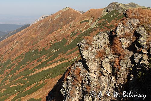 Tatry Siwe Turnie i Ornak