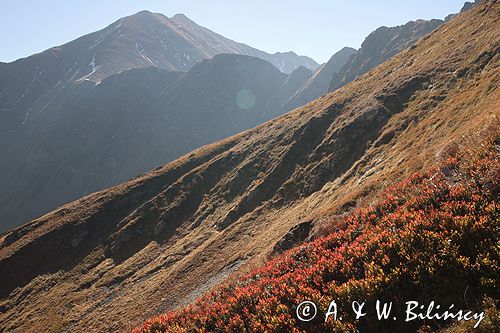 Tatry Błyszcz i Bystra