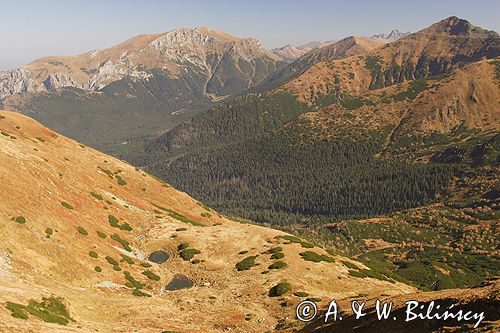 Tatry Dolina Pyszniańska Ciemniak