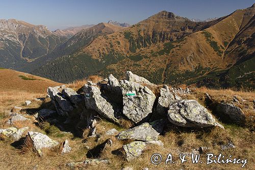 Tatry widok z Siwych Turni na Smreczyński W.