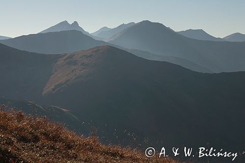 Tatry Zachodnie widok z Ornaku