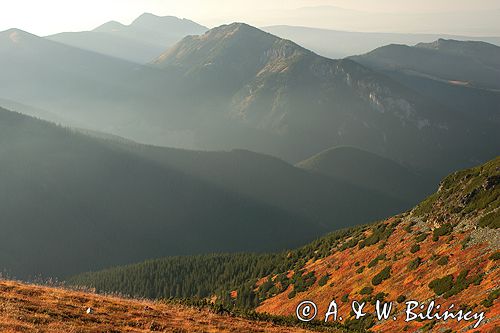 Tatry Zachodnie i borówczyska na stoku Ornaku