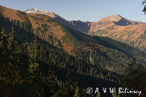 Tatry widok z Hali Tomanowej