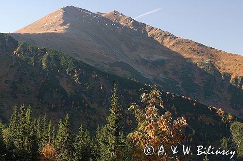 Tatry widok z Hali Tomanowej