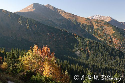 Tatry widok z Hali Tomanowej