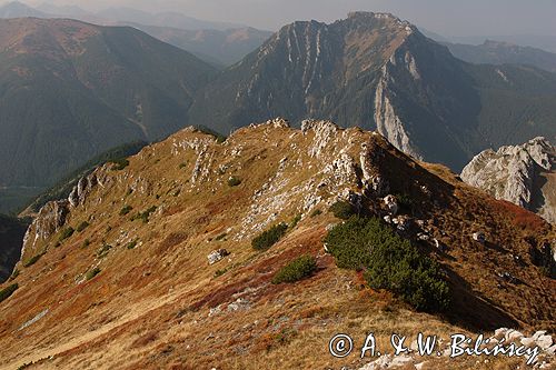 Tatry Kamienne Tomanowe i Kominiarski Wierch