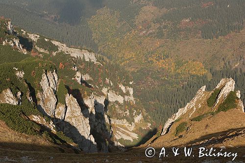 Tatry Mł. Świstówka