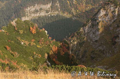 Tatry Mł. Świstówka