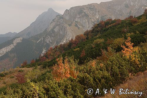 Tatry na Hali Upłaz i Giewont