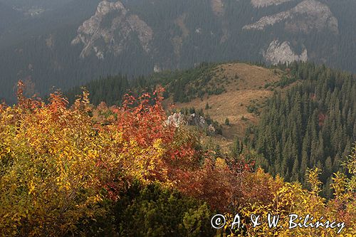 Tatry jesień na Hali Upłaz