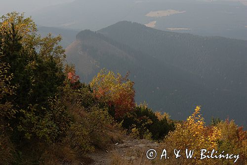 Tatry jesień na Hali Upłaz