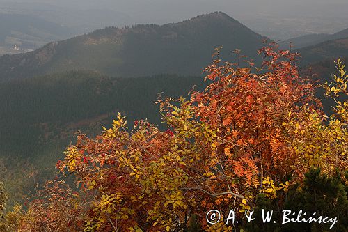 Tatry jesień na Hali Upłaz