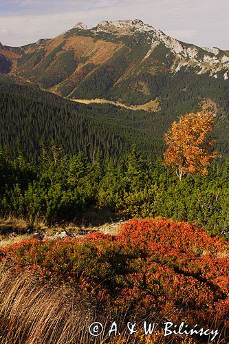 Tatry jesień widok z Myślenickich Turni na Giewont