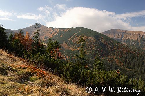 Tatry jesień widok z Myślenickich Turni na Kondratowy Wierch