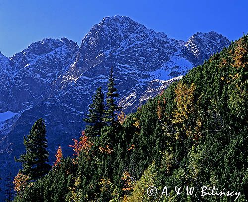 Tatry Mięguszowiecki Szczyt