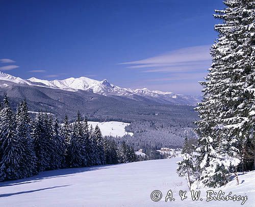 Tatry widok z Polany Zgorzelisko