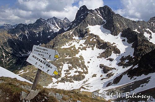 Tatry, Na Szpiglasowej Przełęczy, drogowskaz turystyczny, żabi Szczyt, Niżne Rysy, Rysy, Wysoka, Mięguszowiecki Szczyt, Cubryna