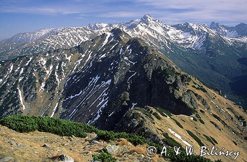 Tatry, panorama z Suchego Wierchu Kondrackiego, Goryczkowa Czuba, Kasprowy, Świnica, Mięguszowiecki Szczyt, Cubryna...