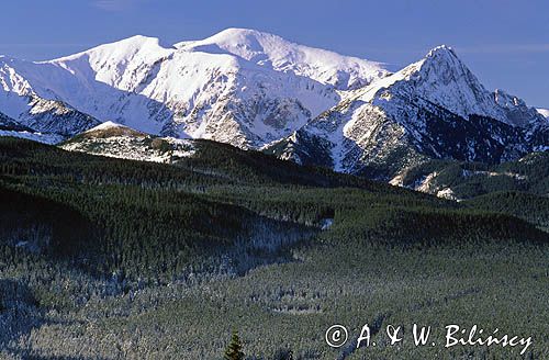 Tatry, widok na Giewont z Polany Zgorzelisko