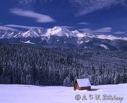 Tatry panorama widok z Głodówki