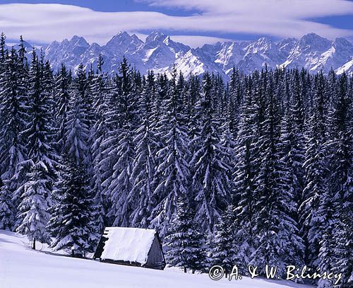 Tatry panorama widok z Głodówki