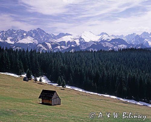 Tatry panorama widok z Głodówki, Kołowy Szczyt,Durny, Baranie Rogi, Lodowy Szczyt, Jaworowy, Mały Jaworowy, Szeroka Jaworzyńska, Gerlach, Kaczy, Kończysta, Ganek