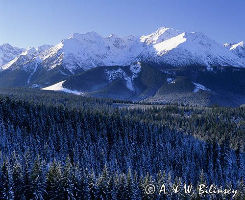 Tatry panorama widok z Głodówki