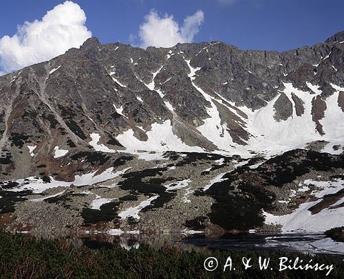 Tatry Dolina Pięciu Stawów, Nad Przednim Stawem, stożki piargowe