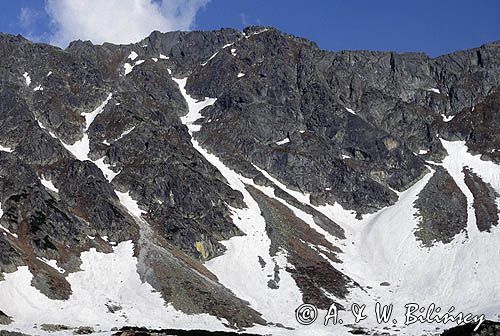 Tatry Dolina Pięciu Stawów, Nad Przednim Stawem, stożki piargowe