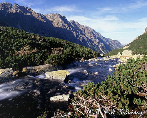 Tatry potok Roztoka w Dolinie Pięciu Stawów