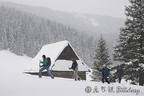 przy szałasie na Rusinowej Polanie, Tatry