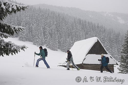 przy szałasie na Rusinowej Polanie, Tatry