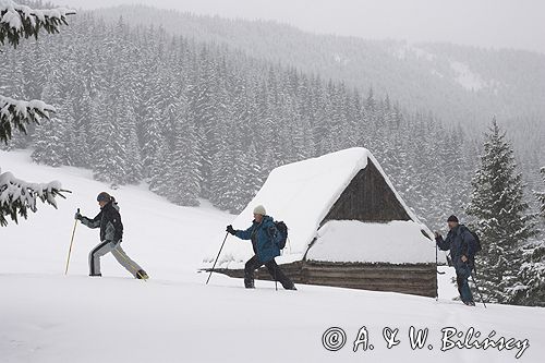 przy szałasie na Rusinowej Polanie, Tatry