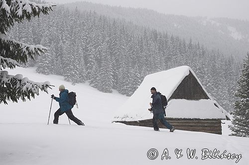 przy szałasie na Rusinowej Polanie, Tatry