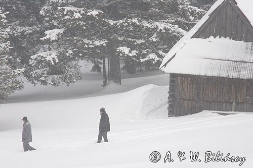 przy szałasie na Rusinowej Polanie, Tatry