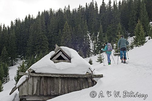 zima, Polana na Stołach, szałas pasterski Tatrzański Park Narodowy, skitouring