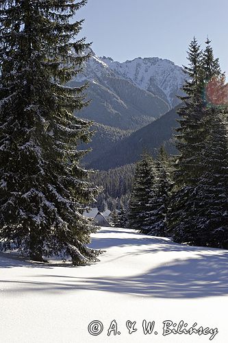 zima, szałasy pasterskie na Polanie Chochołowskiej, Tatrzański Park Narodowy Murań, widok z Murzasichla