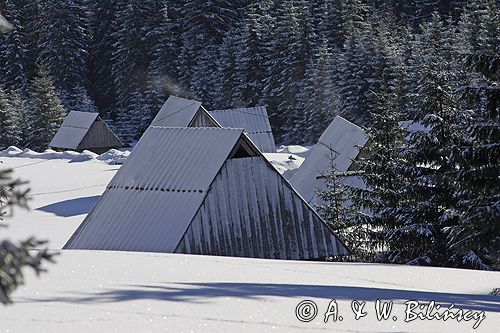 zima, szałasy pasterskie na Polanie Chochołowskiej, Tatrzański Park Narodowy Murań, widok z Murzasichla