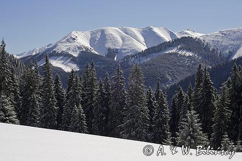 zima, Ornak, widok spod Grzesia, Tatrzański Park Narodowy Murań, widok z Murzasichla