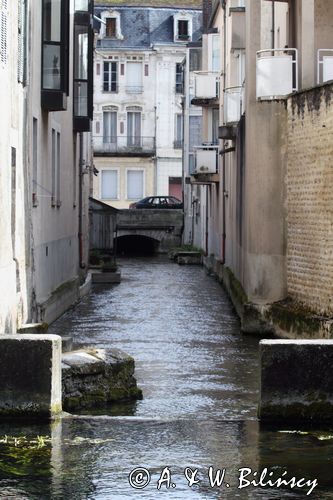 Strumień wypływający ze świętego źródła Fosse Dionne, Tonnerre, Burgundia, Francja