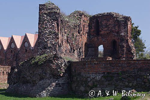 Toruń, ruiny zamku