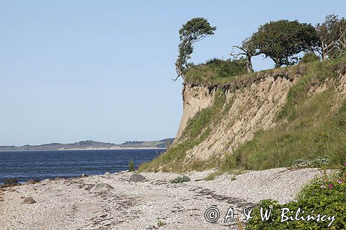 Klif na wyspie Tuno, Kattegat, Dania