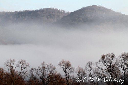 poranne mgły na Tworylnem pod Otrytem, Park Krajobrazowy Doliny Sanu, Bieszczady
