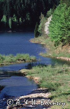 Beskid Śląski Ujście Czarnej Wisły