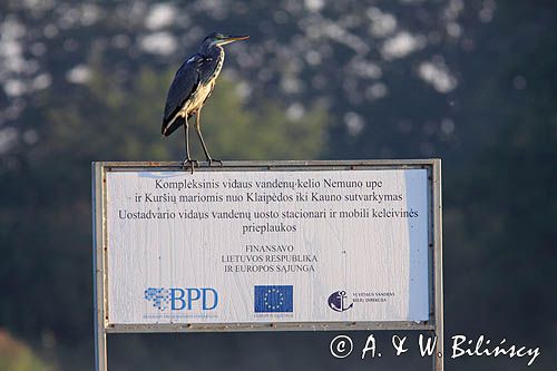 port jachtowy w Uostadvaris, rzeka Niemen, Park Regionalny Delty Niemna, Litwa