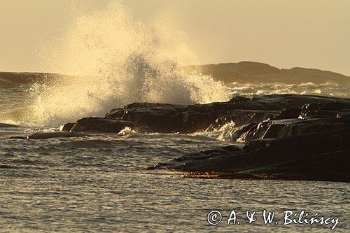 Ursholmen, Kosterhavet Park Narodowy, Szwecja Zachodnia, Skagerrak, Västra Götaland