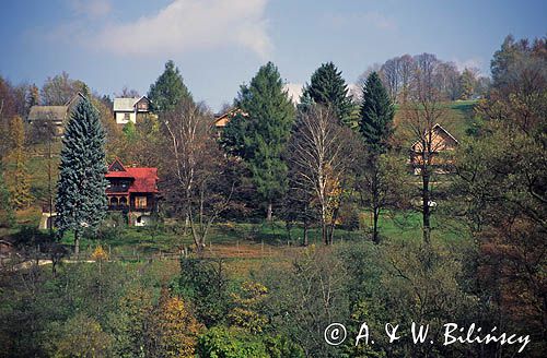 Ustroń, Beskid Śląski, Polana