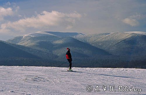 Ustrzyki Górne, narciarz