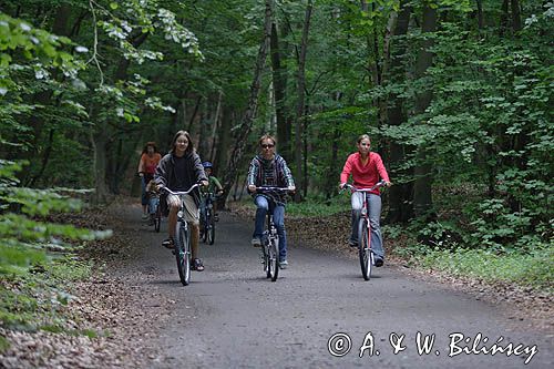 rowerzyści na szlaku rowerowym na wyspie Uznam, Niemcy