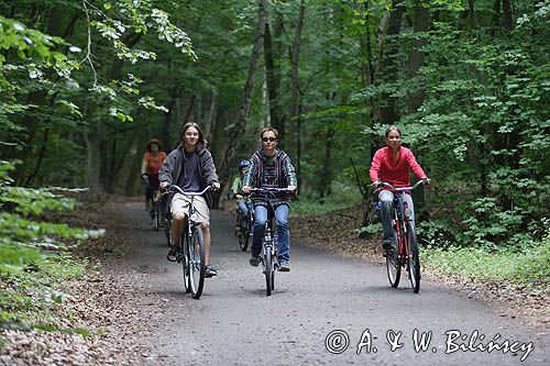 rowerzyści na szlaku rowerowym na wyspie Uznam, Niemcy